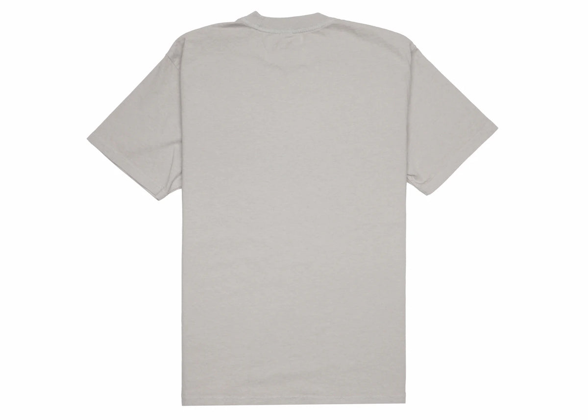 Sp5der Arach NY Phobia Tee Grey