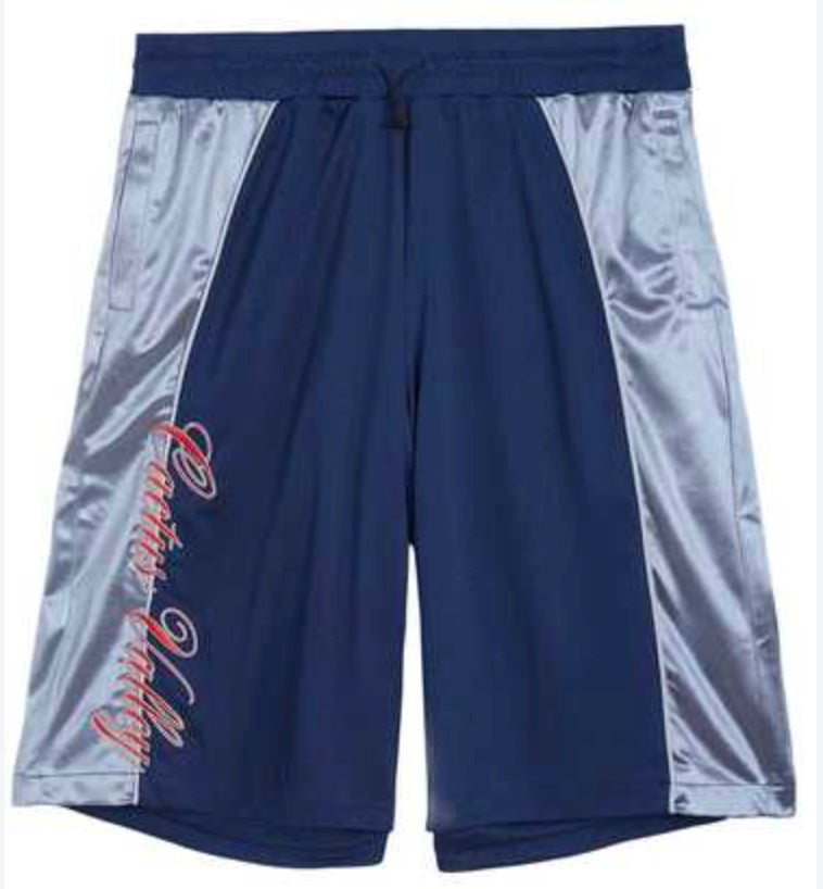 Cactus Valley Baggy Hoop Shorts - Blue
