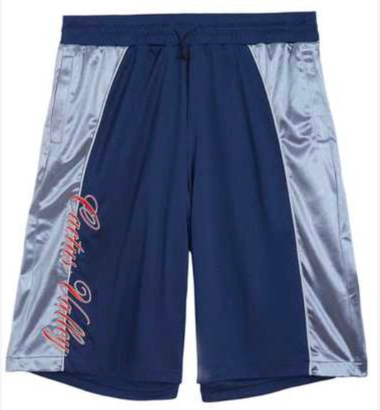 Cactus Valley Baggy Hoop Shorts - Blue