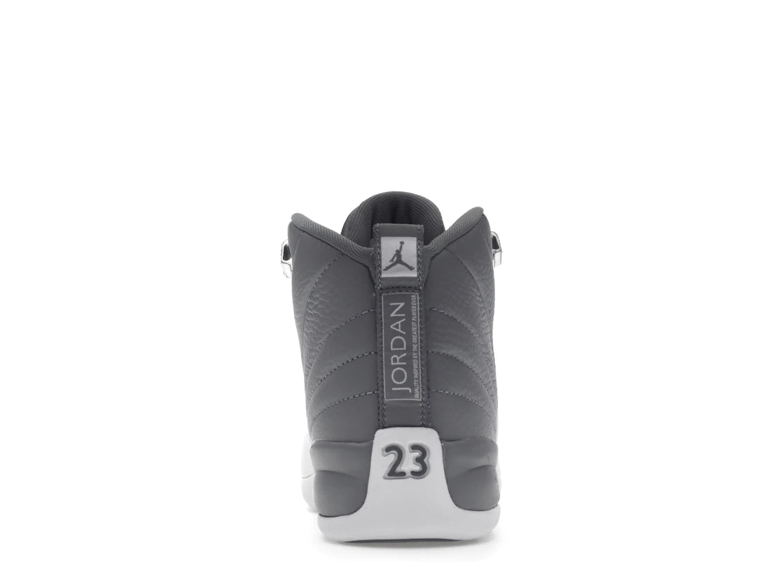 Jordan 12 Retro Stealth (GS)