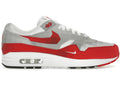 Nike Air Max 1 .SWOOSH Low Poly